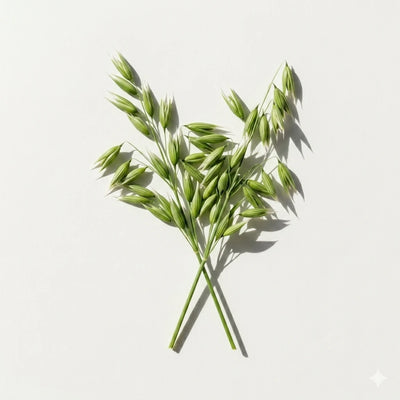 Oat Straw